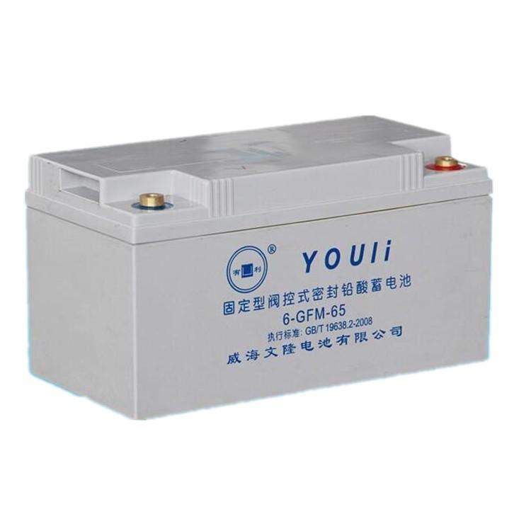 有利蓄电池-威海文隆电池厂