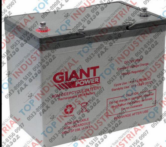 澳大利亚捷安特GIANT蓄电池原装进口