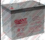 澳大利亚捷安特GIANT蓄电池原装进口