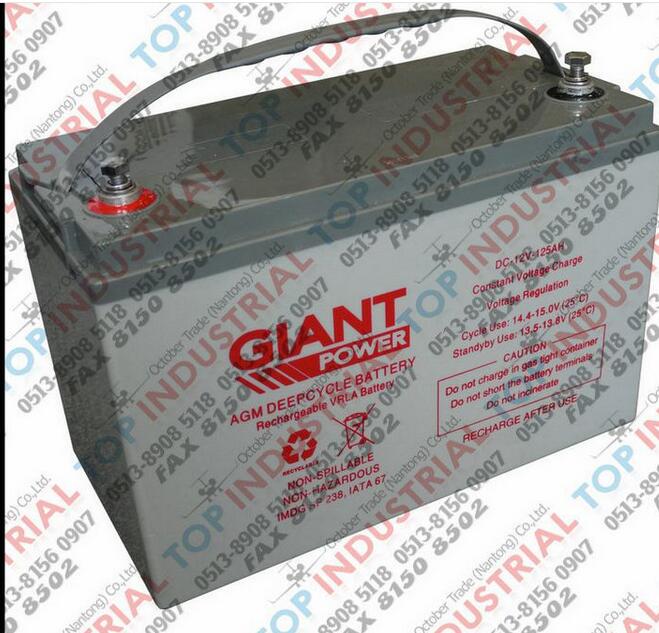 澳大利亚捷安特GIANT蓄电池原装进口