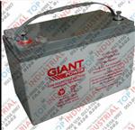 澳大利亚捷安特GIANT蓄电池原装进口