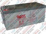澳大利亚捷安特GIANT蓄电池原装进口