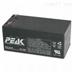 法国PEAK蓄电池原装进口