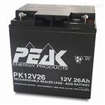 法国PEAK蓄电池原装进口