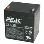 法国PEAK蓄电池原装进口