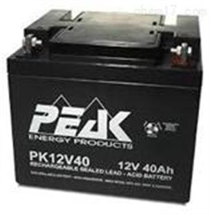 法国PEAK蓄电池原装进口