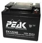 法国PEAK蓄电池原装进口