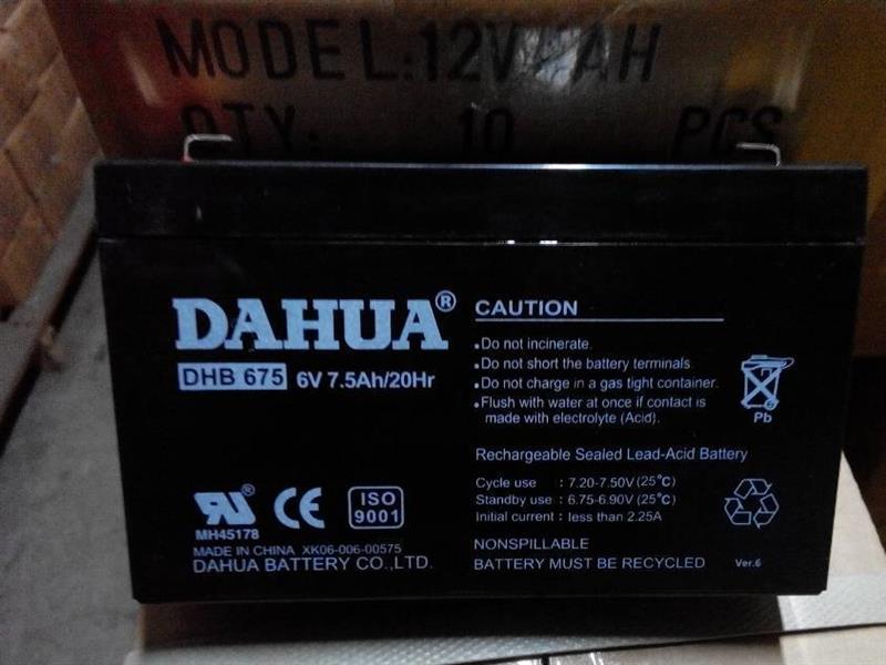 大华DAHUA蓄电池授权代理商