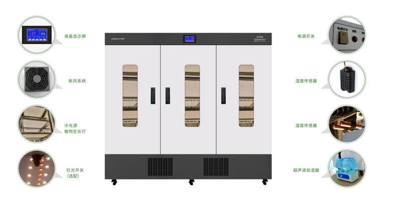 科晟供应LED植物生长光照箱ZRX-2000A-LED