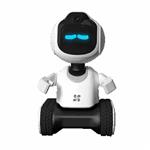 海康威视萤石儿童陪护机器人CS-RK2 PRO版 