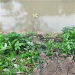 河流（海岛）浮岛水质监测站方案
