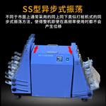 金坛良友RS-2分液漏斗振荡器 