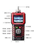 泵吸式气体检测报警仪 GASTiger 2000-H
