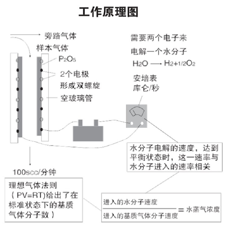 便携式湿度分析仪WATERBOY 2TM