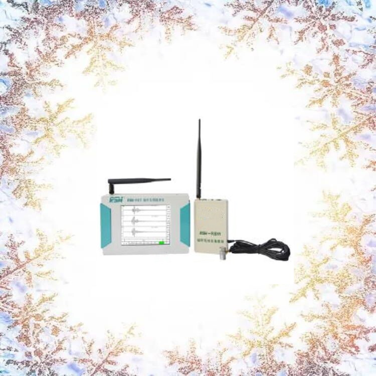 锚杆质量检测仪型号:RSM-RBT