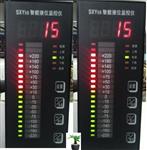 智能液位监控仪/电接点水位计 型号:SXY-5S