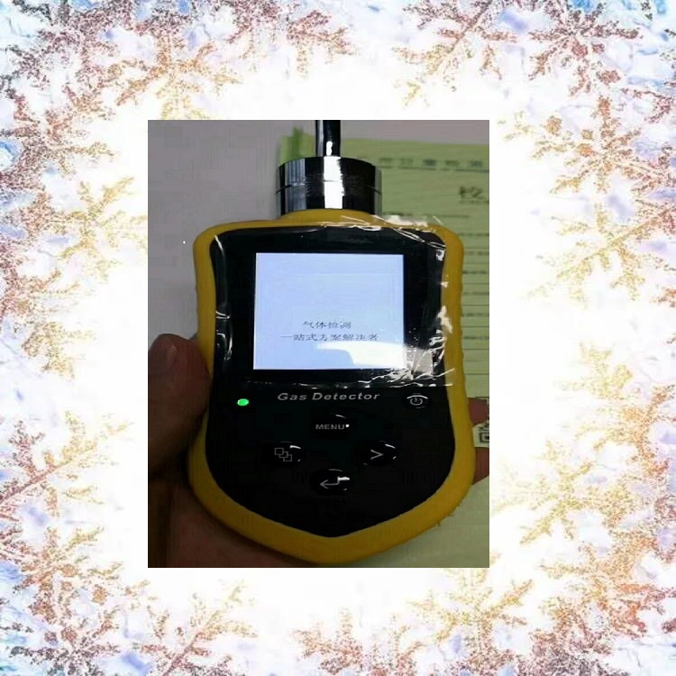 便携式气体检测仪型号:SGA-600B-CL2