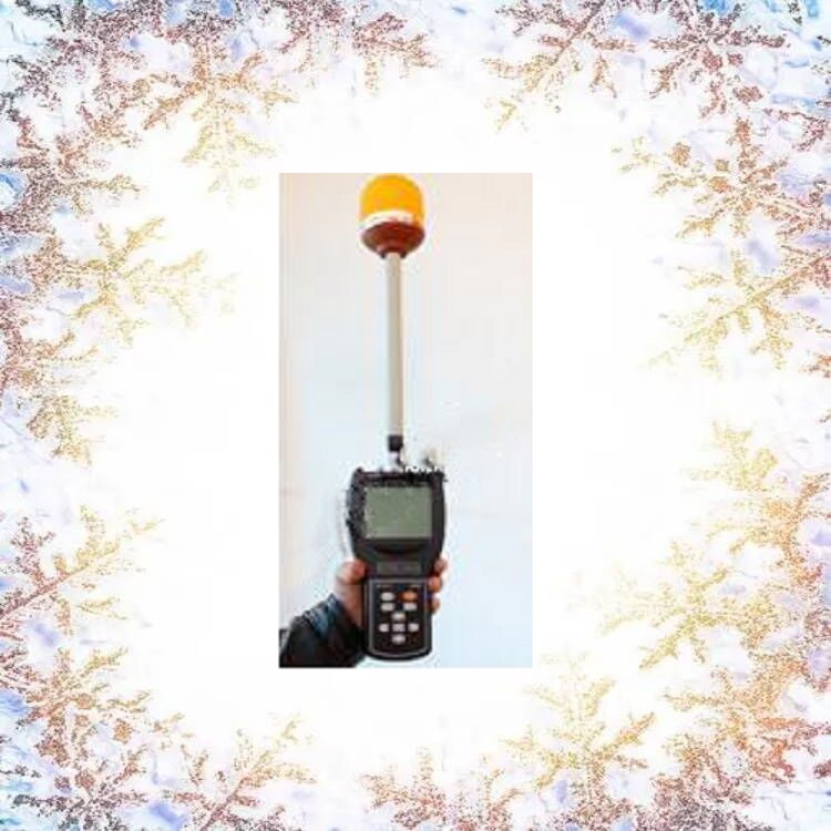 便携式高频场强仪 型号:VM86-BHYT2010C