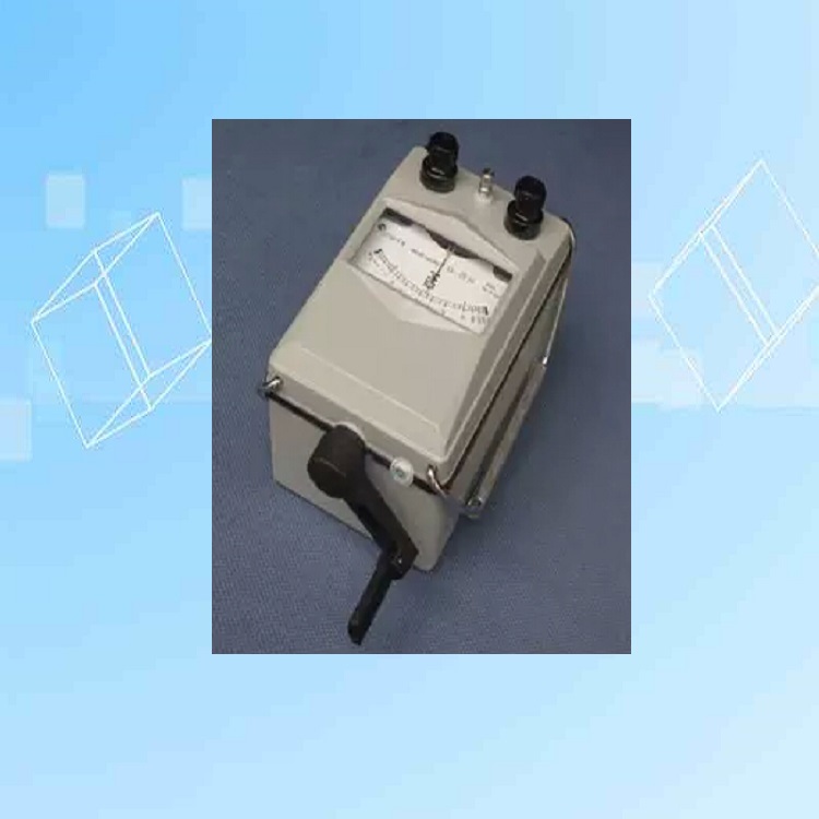 手摇式兆欧表 型号:81M/ZC11D-5