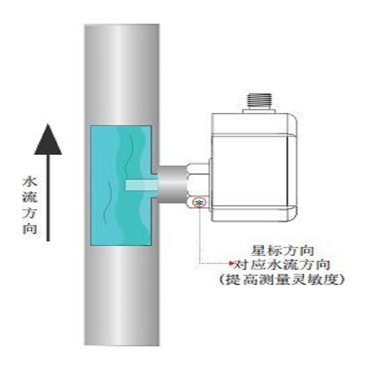 电子式流量开关 型号:FS100-G12MDCCM