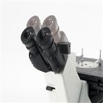 倒置显微镜 型号:SS13-XDS-900C