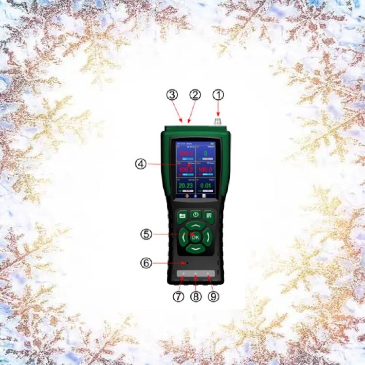 手持式气体浓度检测仪 型号:HNAG900-6-Z