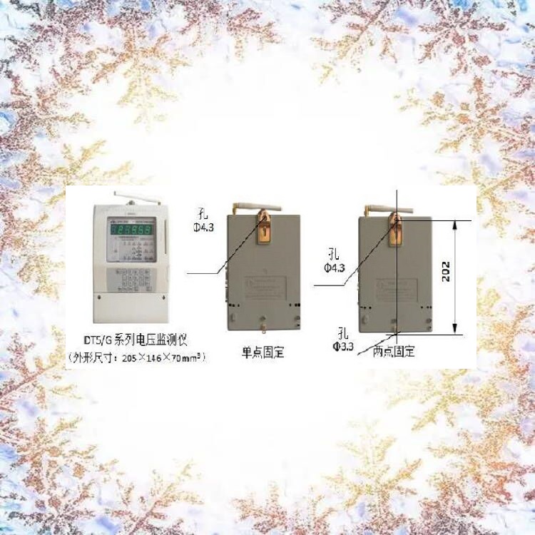 电压监测仪 型号:XY40-DT5-1*220V