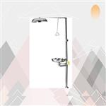 事故洗眼器 型号:WL28-AX-X-II