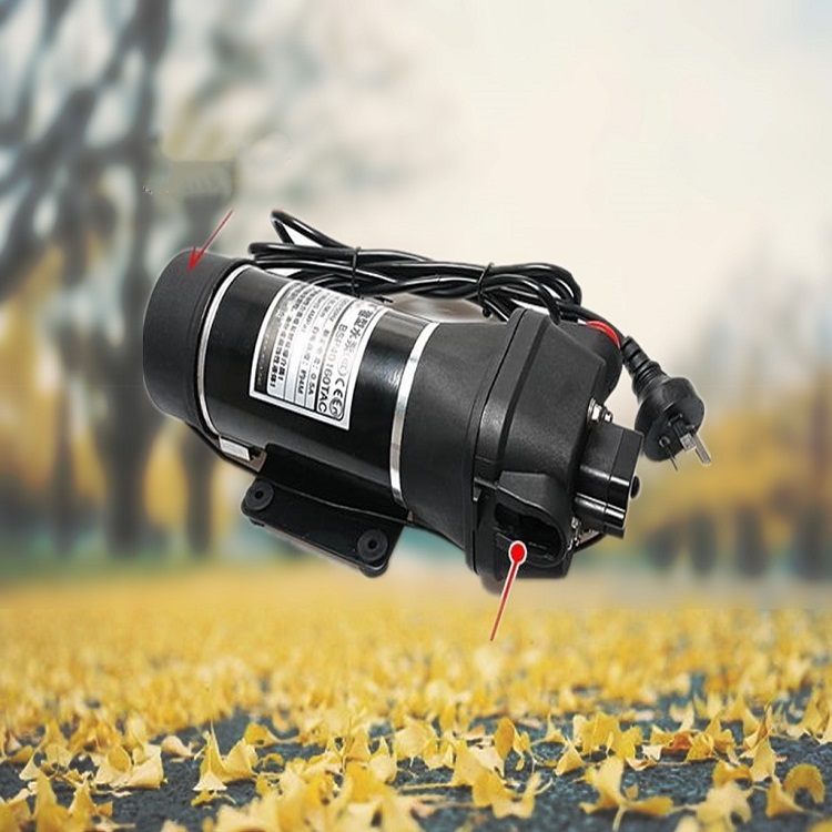 微型液体泵BSP40160TAC-220V