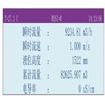 面积流速法声波流量计Starflow QSD 6537B
