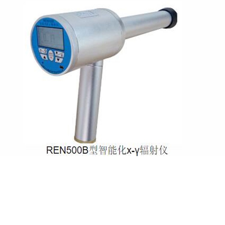 智能化辐射仪 型号:SR09-BMW-REN500B