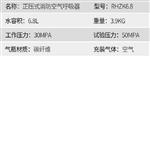 正压式消防空气呼吸器 型号:ZA01-RHZK6.8