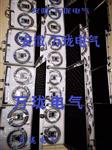 振动变送器YTRLV-8T-R020-06-1-010