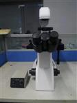 缔伦光学DXS-3DIC型倒置相衬显微镜
