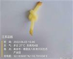 脉冲电场非热杀菌PEF设备