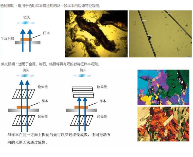 缔伦光学DLN-101DS金相测量显微镜