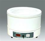数显控温电热套1000ML型98-1-CN库号D378685