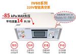 智能真空泵 型号CX03-IV601 库号M400793 