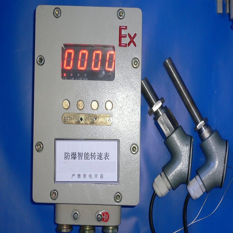 智能转速表 含传感器型号WZC-05FB-EX