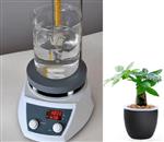 磁力搅拌器 数显 型号AM-6250B库号M238450 