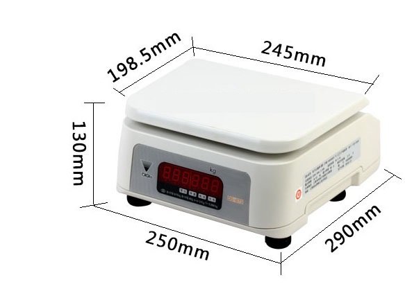 称量实验兔电子秤型号DS-673 库号D370604 