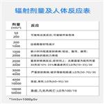 辐射检测仪 型号:RM-9000