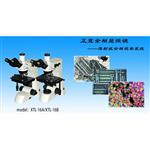 缔伦光学XTL-16系列透反射金相显微镜