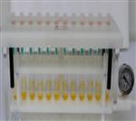 固相萃取装置 中西器材 型号:ZL31-SPE-12D