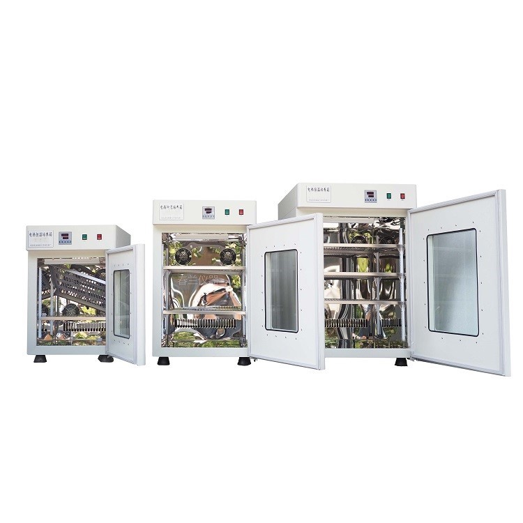 电热恒温培养箱 型号HT-350B库号M272951 