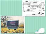 电磁式酸碱浓度计CN60M/CYN-W库号M199517  