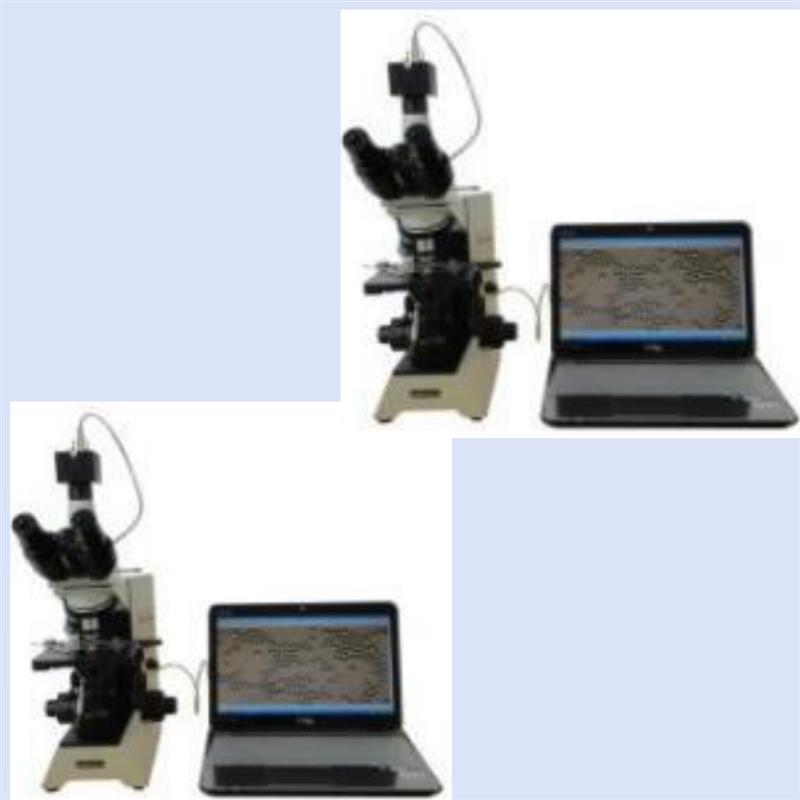 颗粒图像分析系统型号ZX-1800库号M400214 