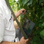 叶面积指数测量仪/植物冠层分析仪SY-S01A