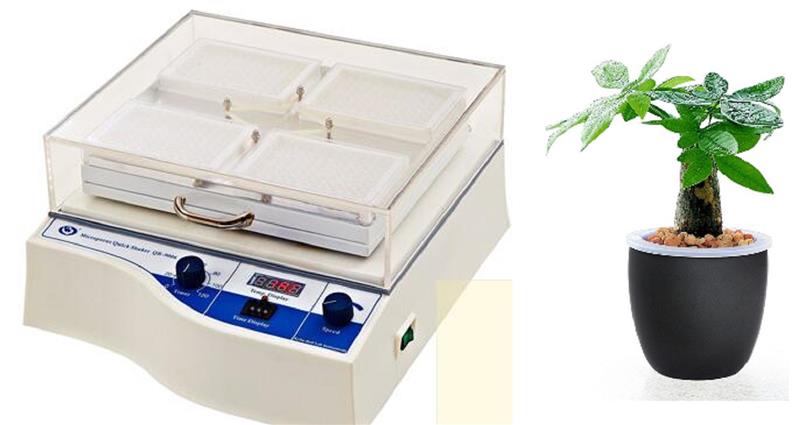 恒温微孔板快速振荡器QB-9006库号M407899 