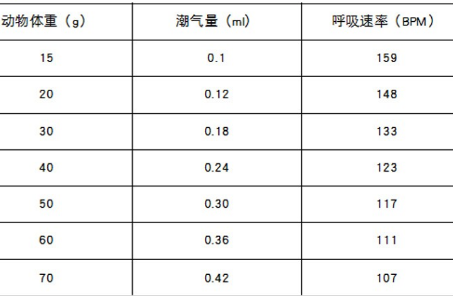 小动物人工呼吸机型号ZH-RG库号M307582 